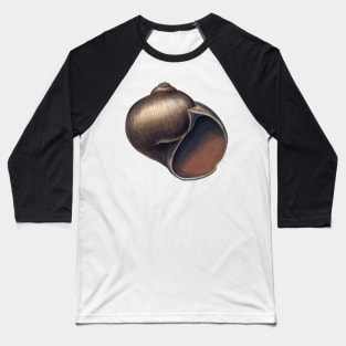 Northern Moon Snail Baseball T-Shirt